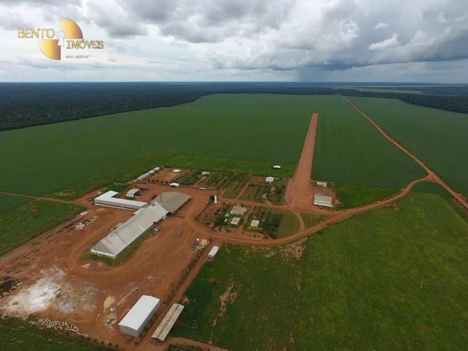 Fazenda à venda e para Arrendar de 5.200 ha em Brasnorte, MT, Brasil