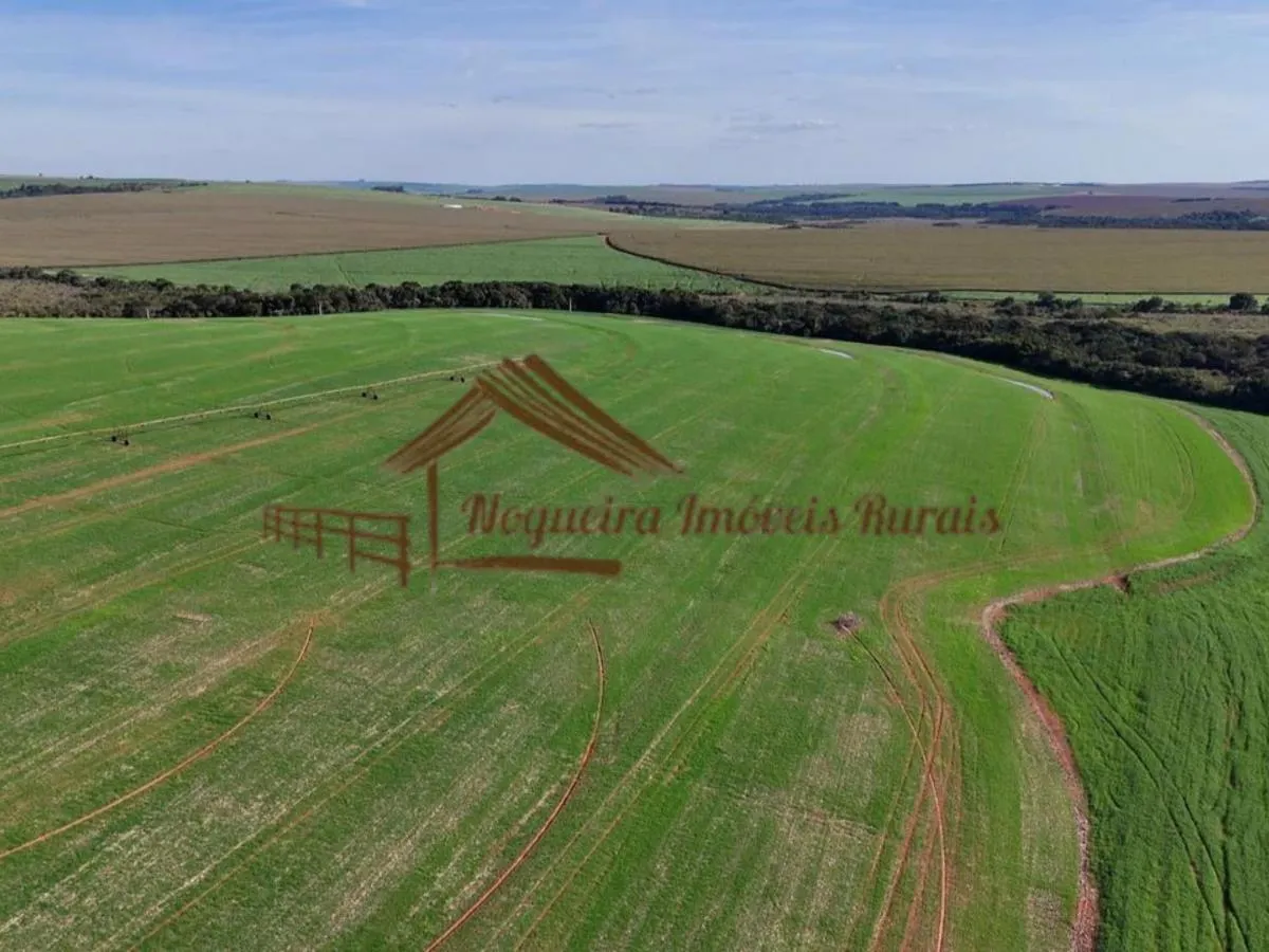 Fazenda à venda de 210 ha em Paranapanema, SP, Brasil