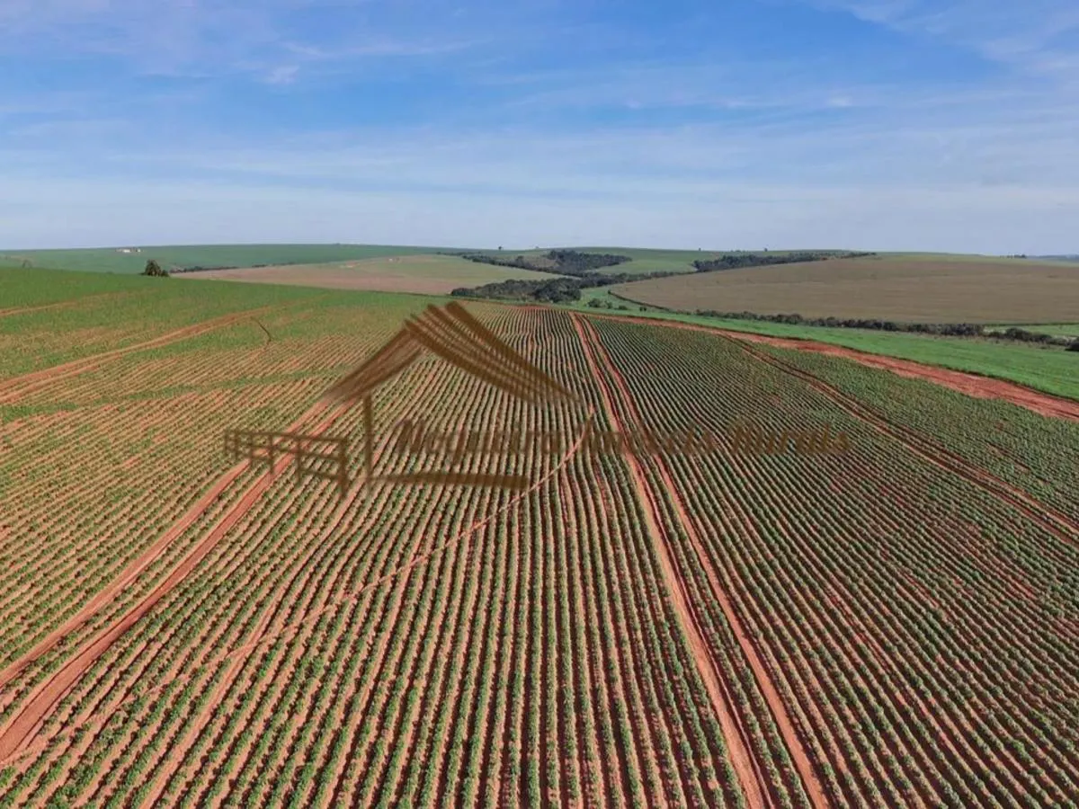 Fazenda à venda de 210 ha em Paranapanema, SP, Brasil