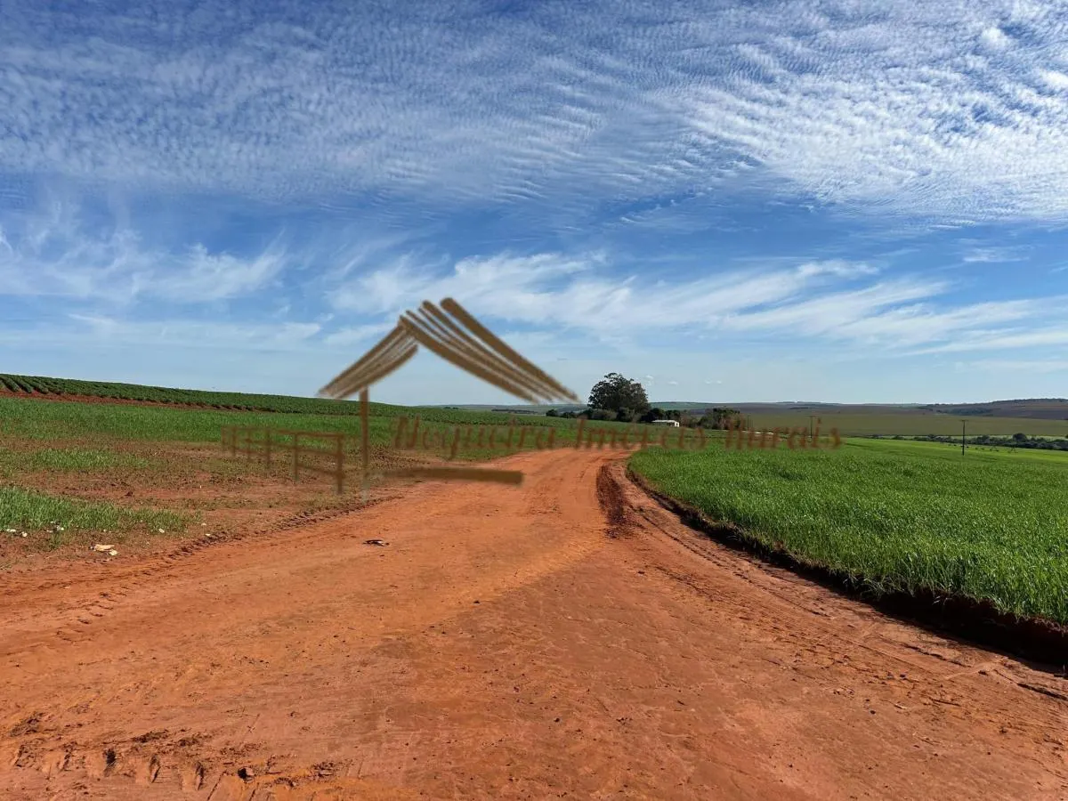 Fazenda à venda de 210 ha em Paranapanema, SP, Brasil