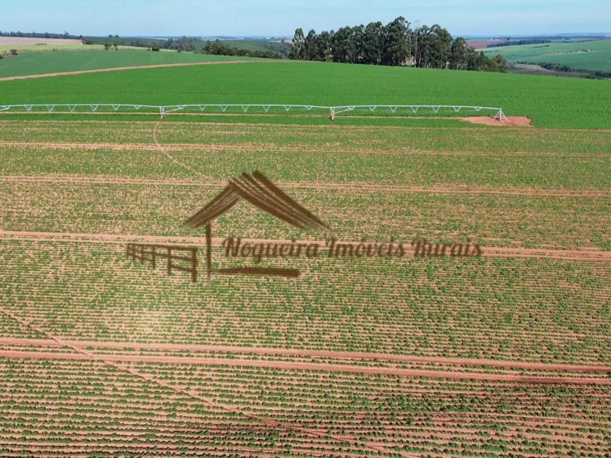 Fazenda à venda de 210 ha em Paranapanema, SP, Brasil