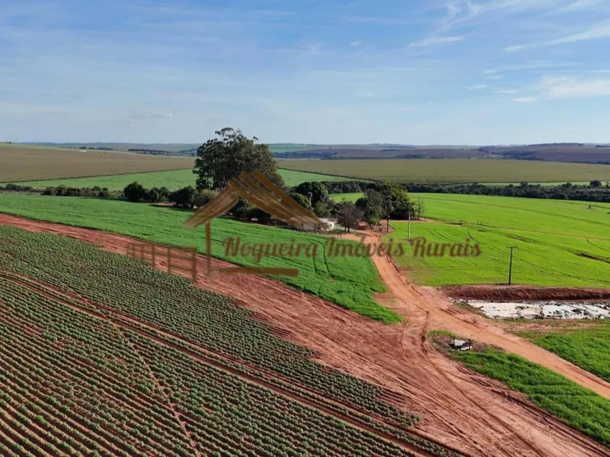 Fazenda à venda de 210 ha em Paranapanema, SP, Brasil