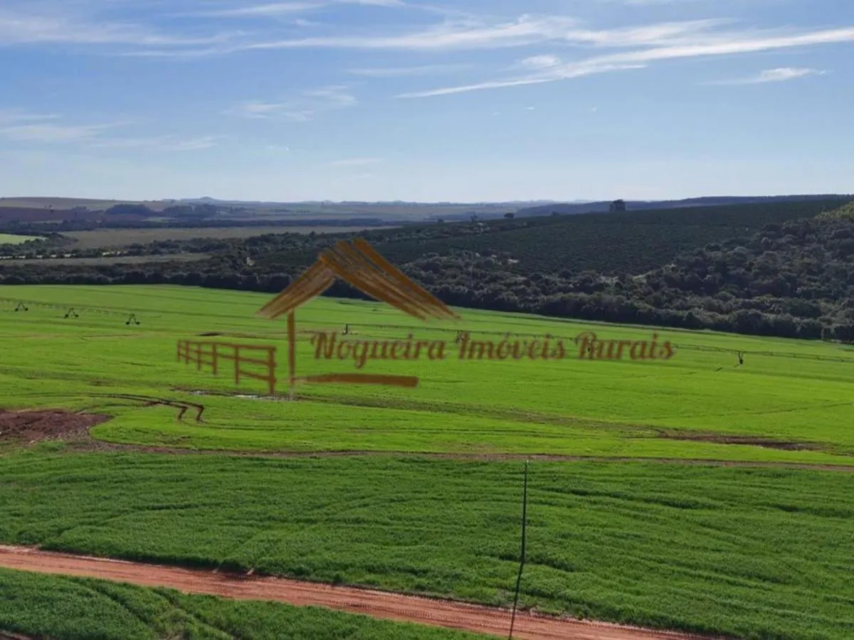 Fazenda à venda de 210 ha em Paranapanema, SP, Brasil