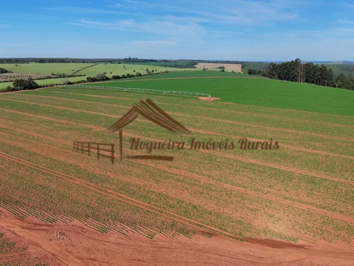 Fazenda à venda de 210 ha em Paranapanema, SP, Brasil