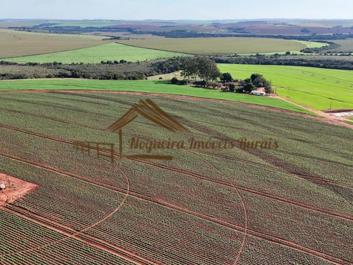 Fazenda à venda de 210 ha em Paranapanema, SP, Brasil