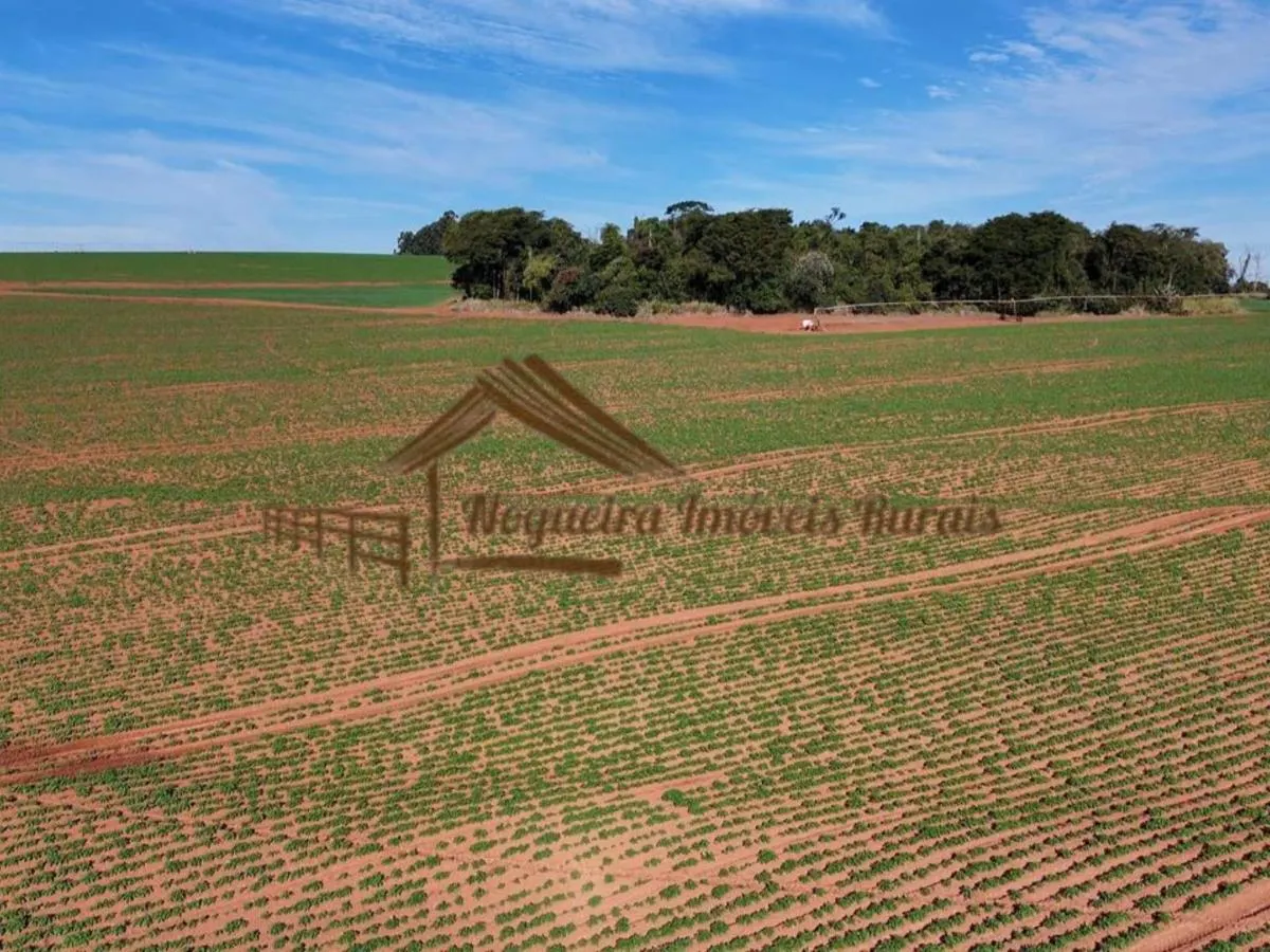 Fazenda à venda de 210 ha em Paranapanema, SP, Brasil