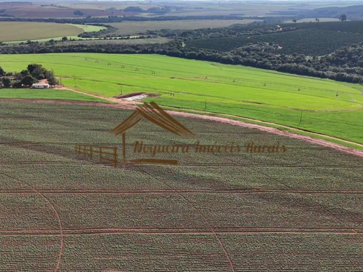 Fazenda à venda de 210 ha em Paranapanema, SP, Brasil