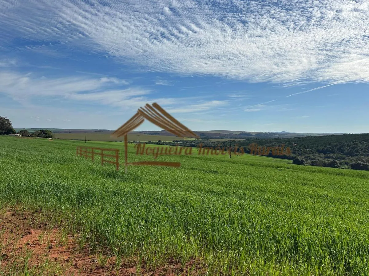 Fazenda à venda de 210 ha em Paranapanema, SP, Brasil