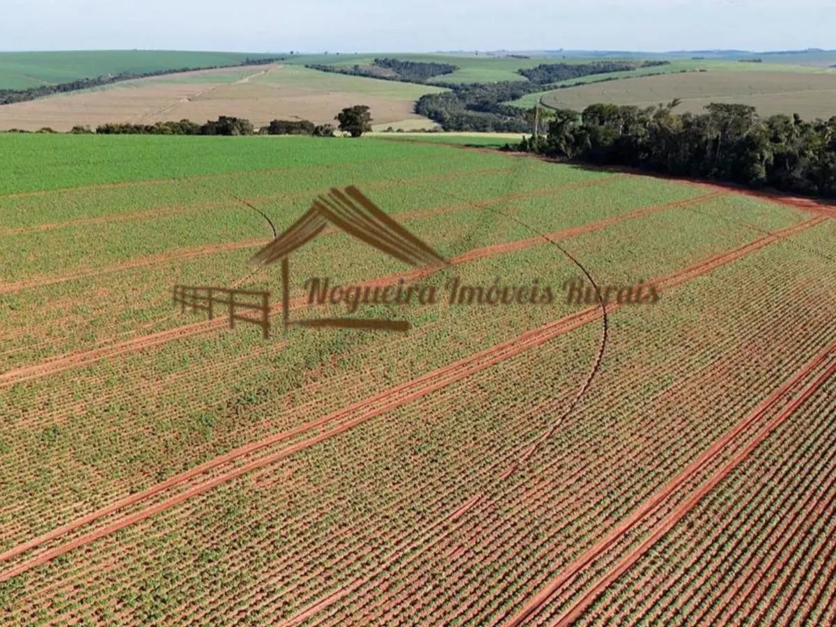 Fazenda à venda de 210 ha em Paranapanema, SP, Brasil