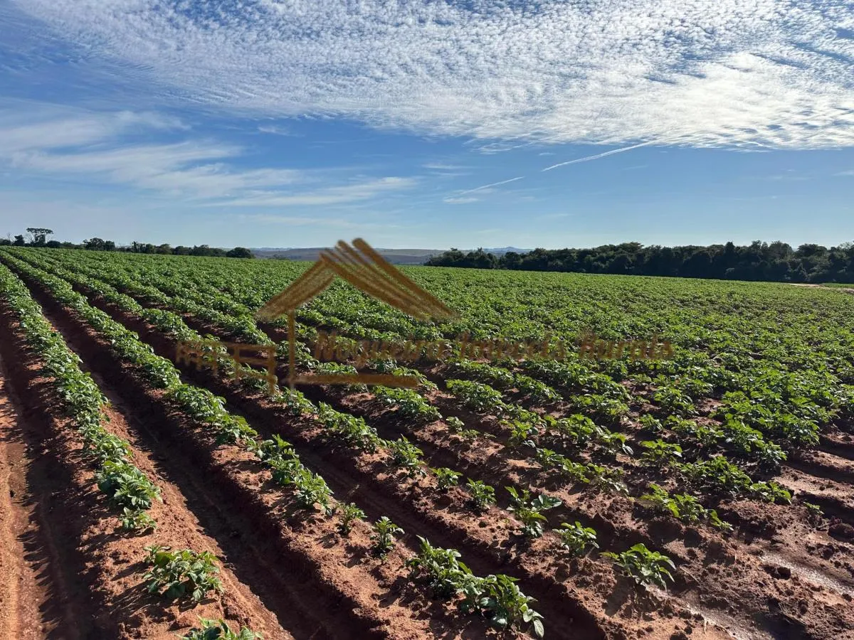 Fazenda à venda de 210 ha em Paranapanema, SP, Brasil