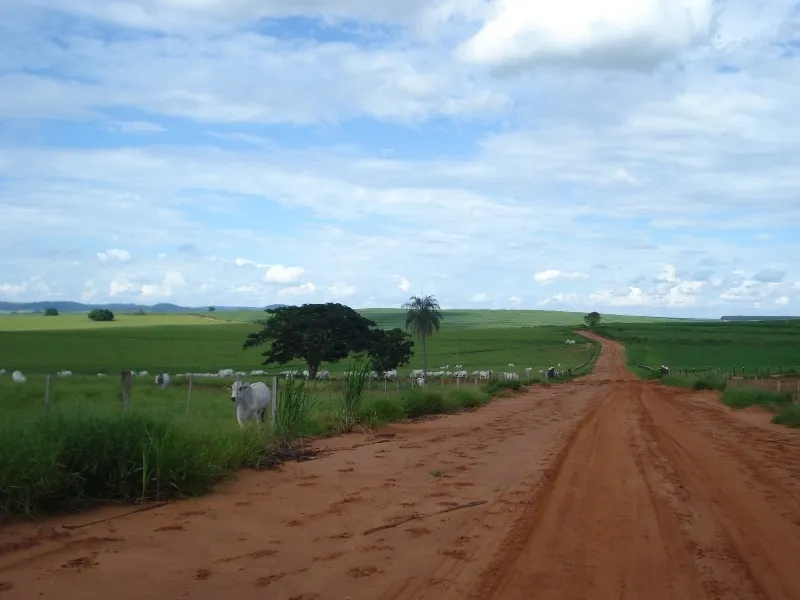 Farm for sale of 7,140 acres in Pompéia, SP, Brazil