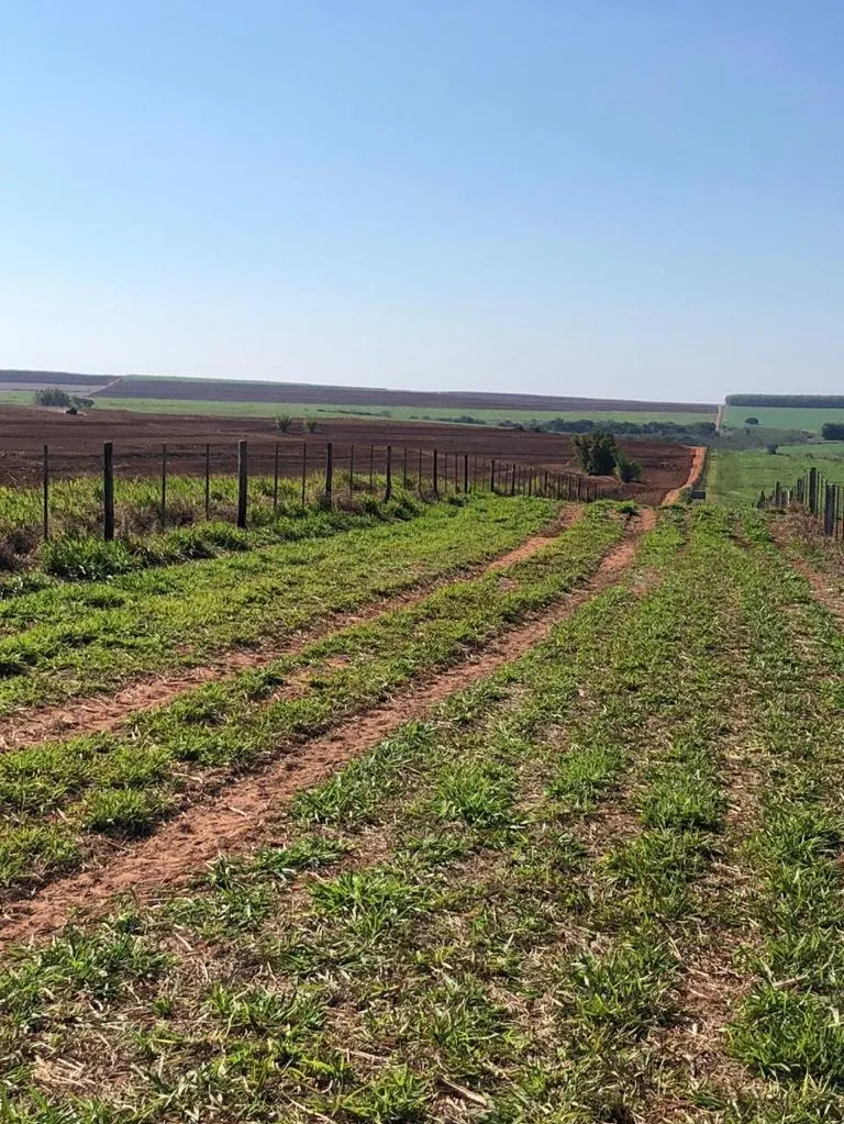 Farm for sale of 7,140 acres in Pompéia, SP, Brazil