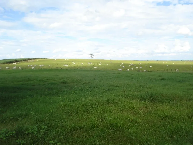 Farm for sale of 7,140 acres in Pompéia, SP, Brazil