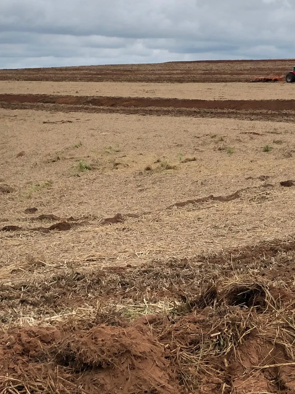 Farm for sale of 7,140 acres in Pompéia, SP, Brazil