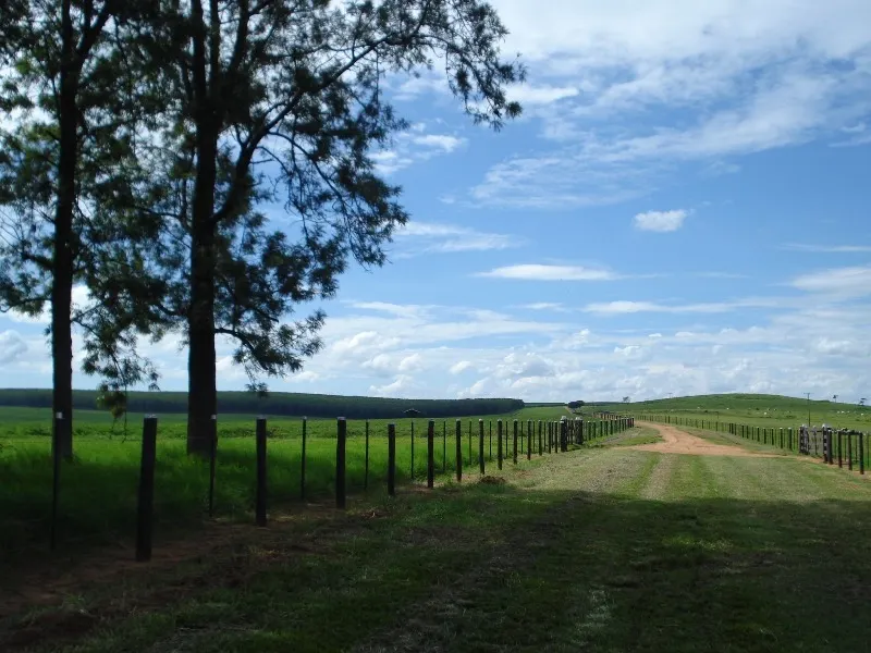 Farm for sale of 7,140 acres in Pompéia, SP, Brazil