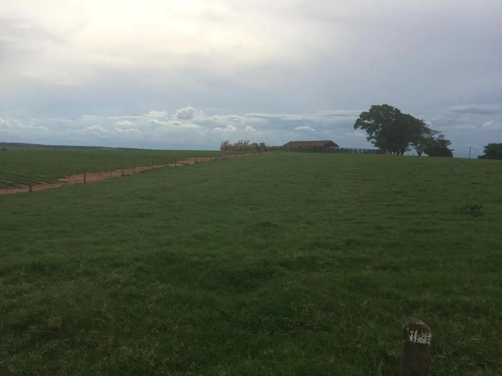 Farm for sale of 7,140 acres in Pompéia, SP, Brazil