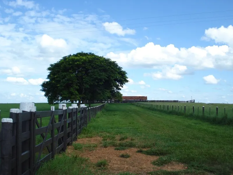 Farm for sale of 7,140 acres in Pompéia, SP, Brazil