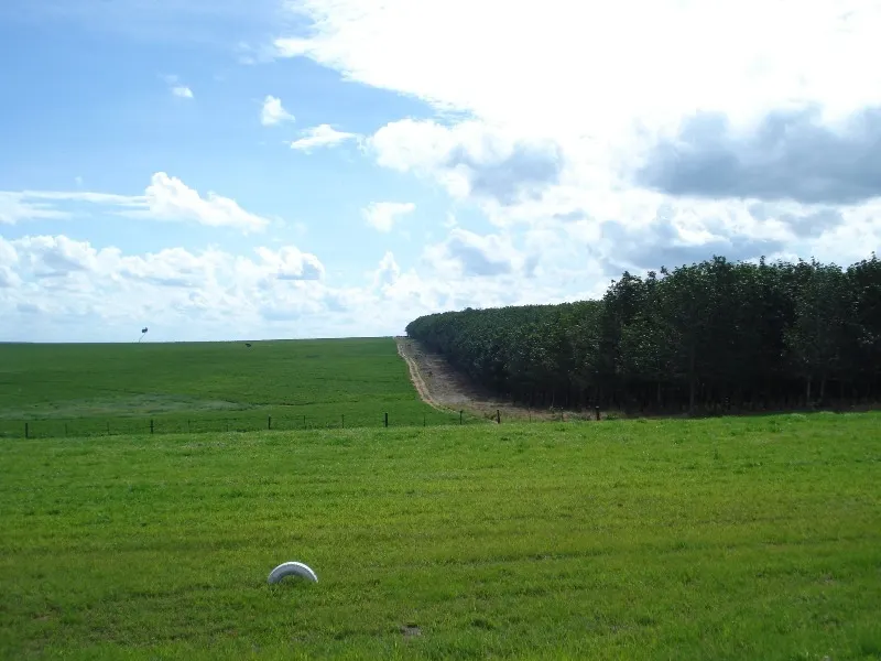 Farm for sale of 7,140 acres in Pompéia, SP, Brazil