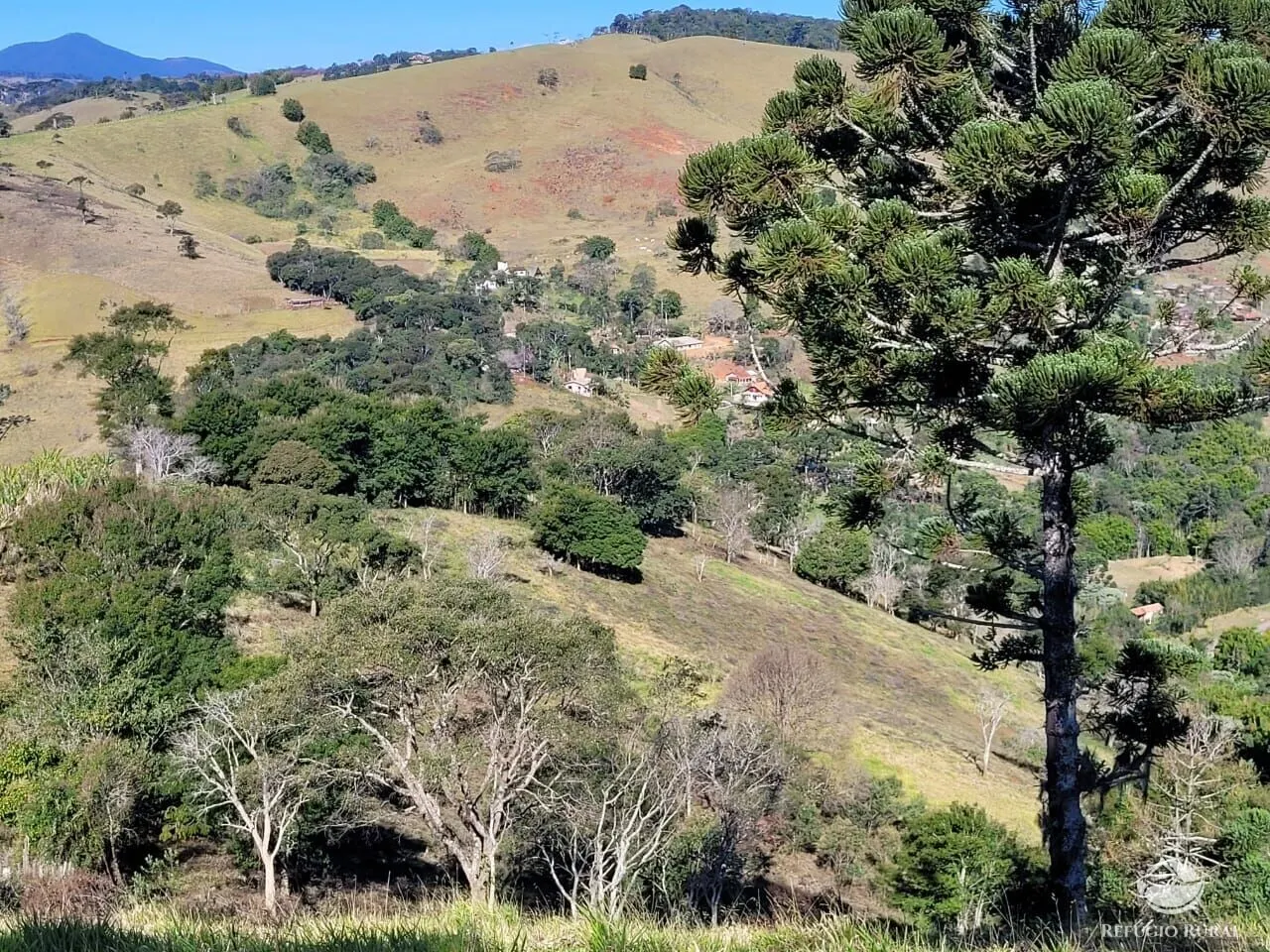 Plot for sale of 5 acres in Santo Antônio do Pinhal, SP, Brazil
