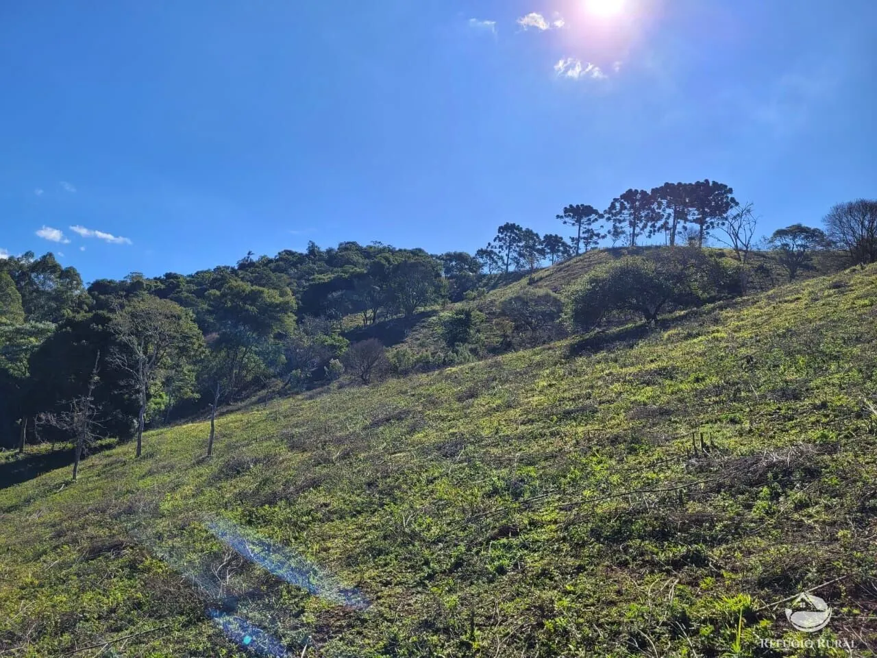 Plot for sale of 5 acres in Santo Antônio do Pinhal, SP, Brazil