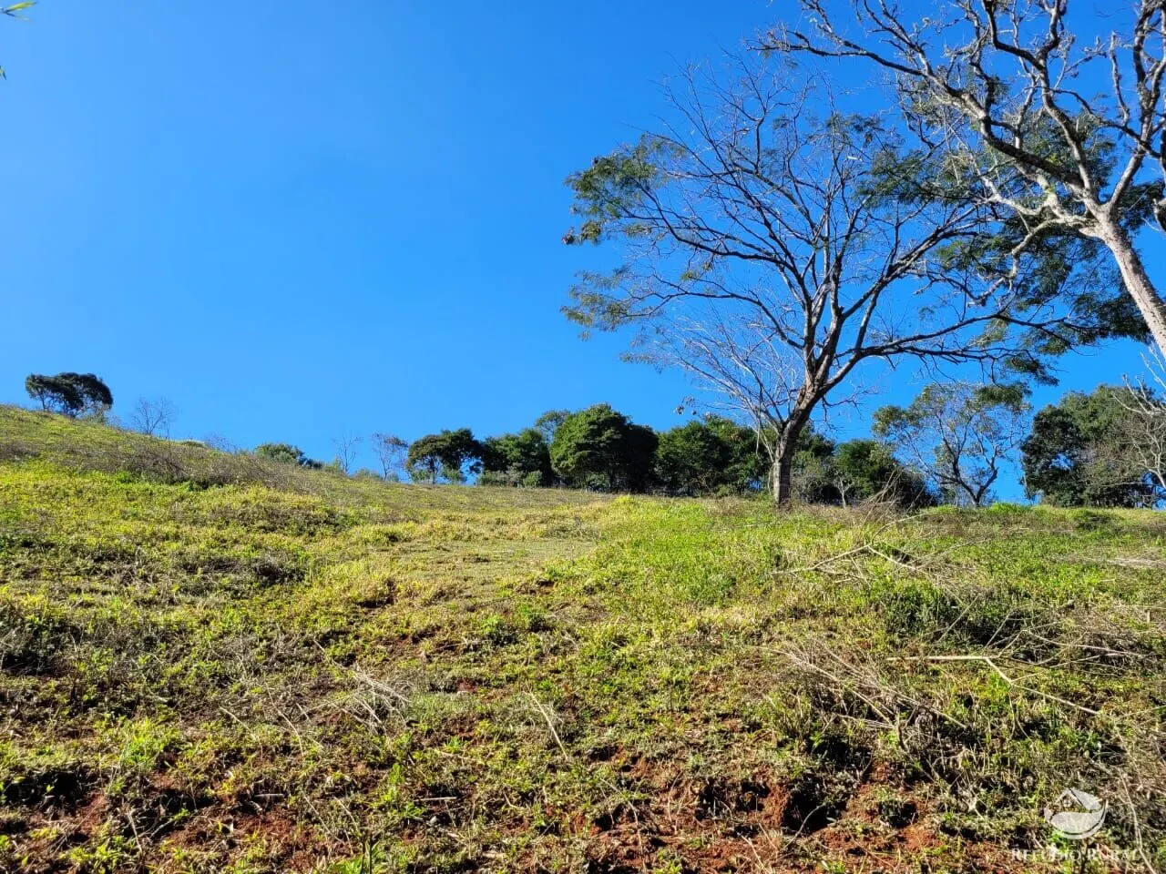 Plot for sale of 5 acres in Santo Antônio do Pinhal, SP, Brazil