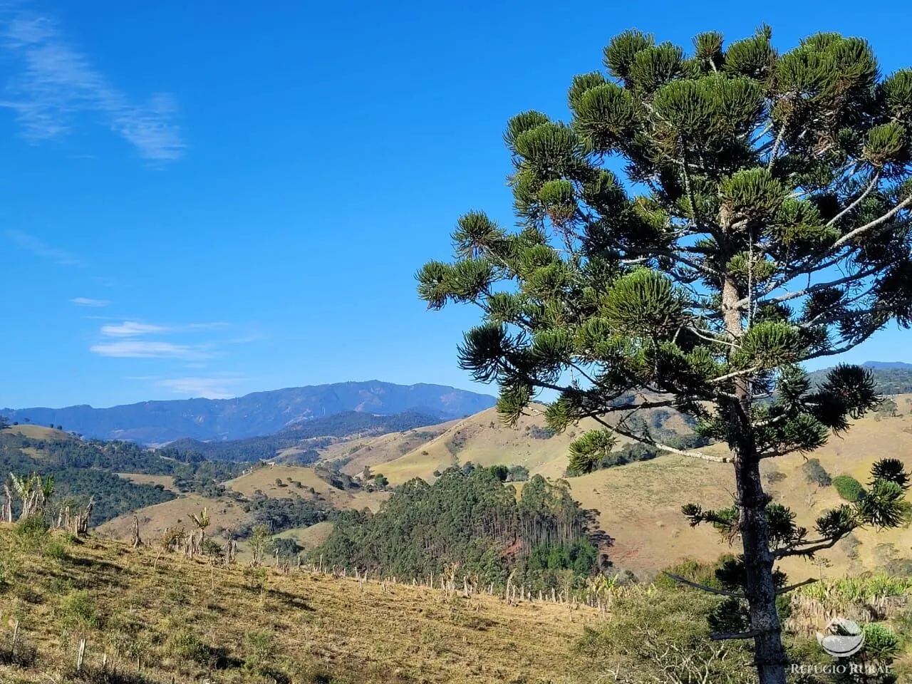 Terreno à venda de 2 ha em Santo Antônio do Pinhal, SP, Brasil