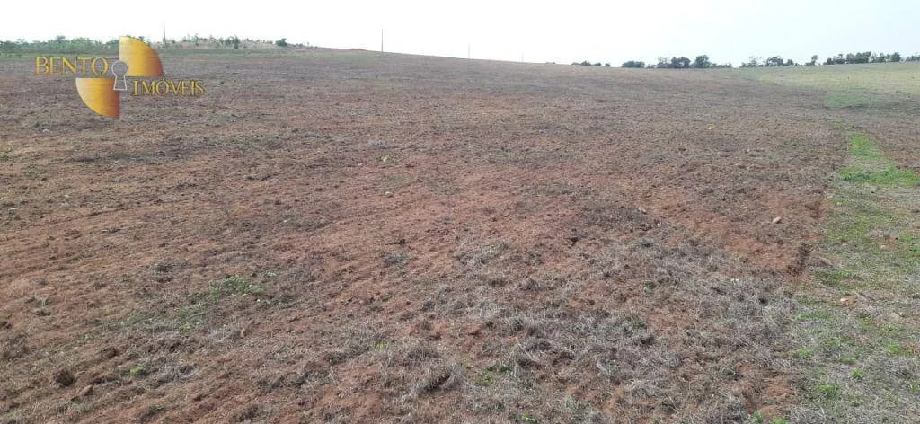 Farm for sale of 1,601 acres in Primavera do Leste, MT, Brazil