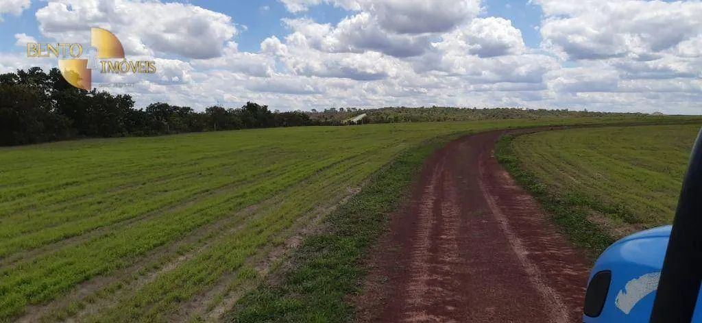 Farm for sale of 1,601 acres in Primavera do Leste, MT, Brazil