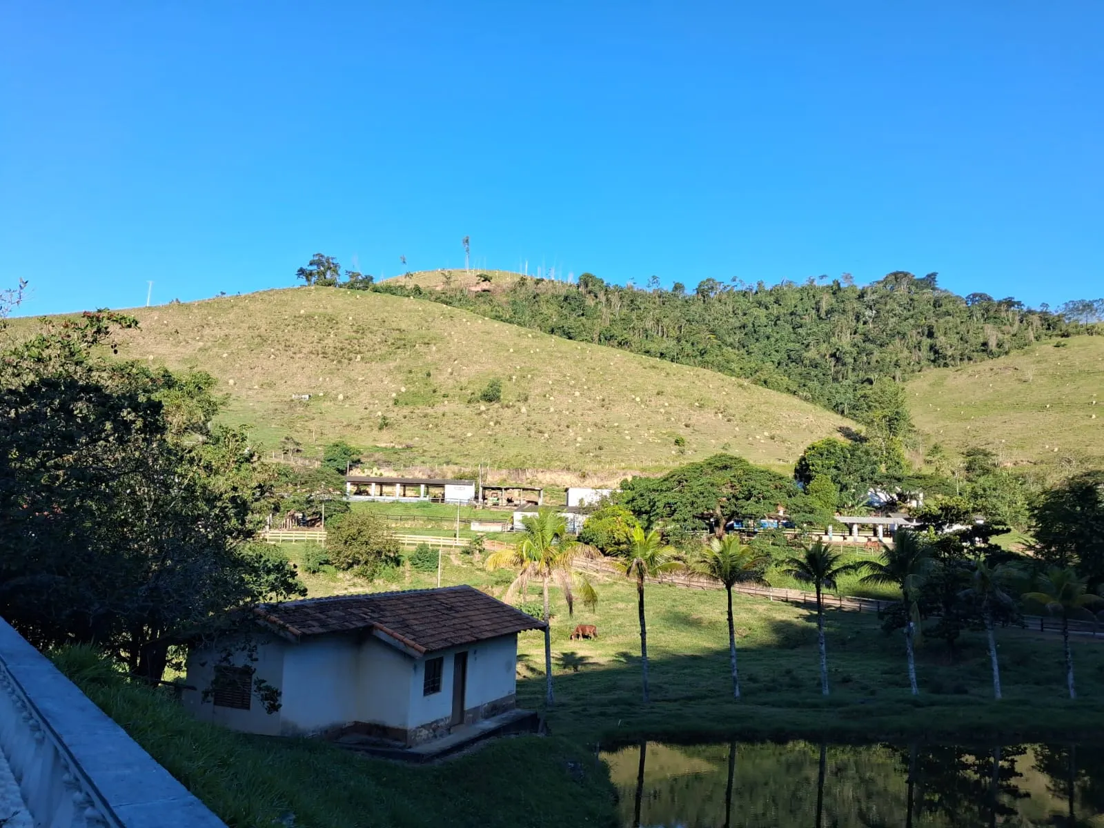 Fazenda à venda de 799 ha em São José do Barreiro, SP, Brasil