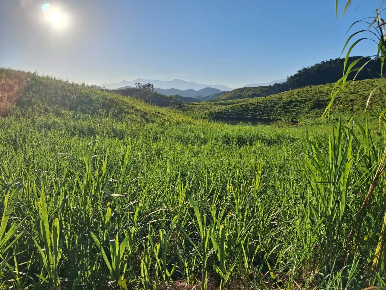 Fazenda à venda de 799 ha em São José do Barreiro, SP, Brasil
