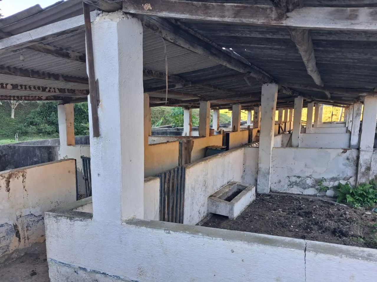 Fazenda à venda de 799 ha em São José do Barreiro, SP, Brasil