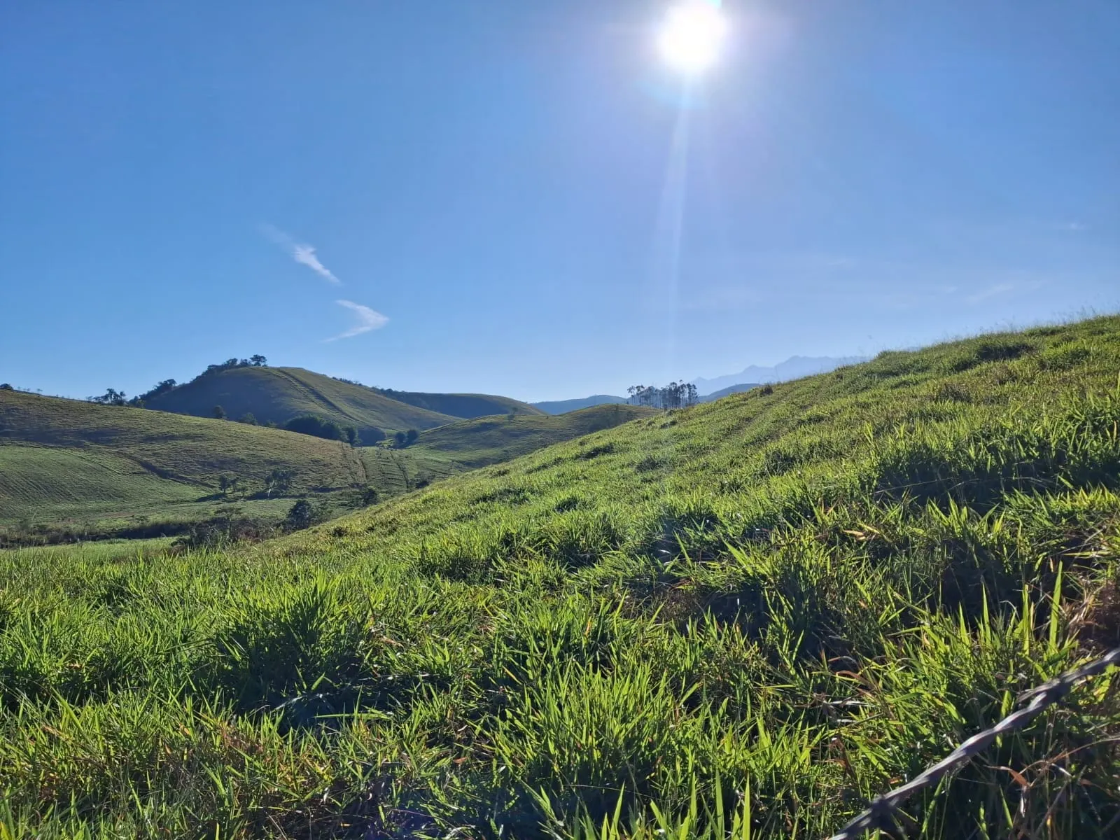 Fazenda à venda de 799 ha em São José do Barreiro, SP, Brasil