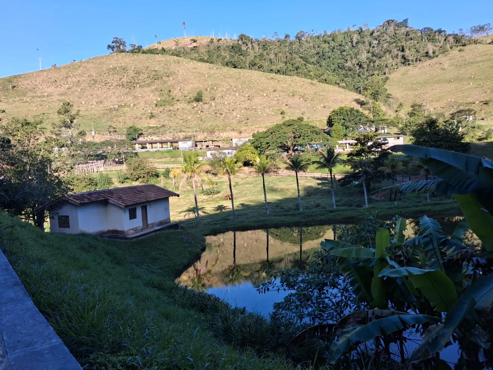 Fazenda à venda de 799 ha em São José do Barreiro, SP, Brasil