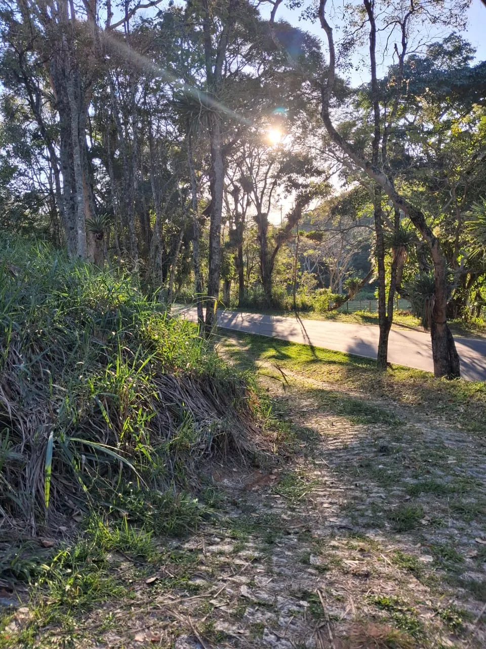 Fazenda à venda de 799 ha em São José do Barreiro, SP, Brasil