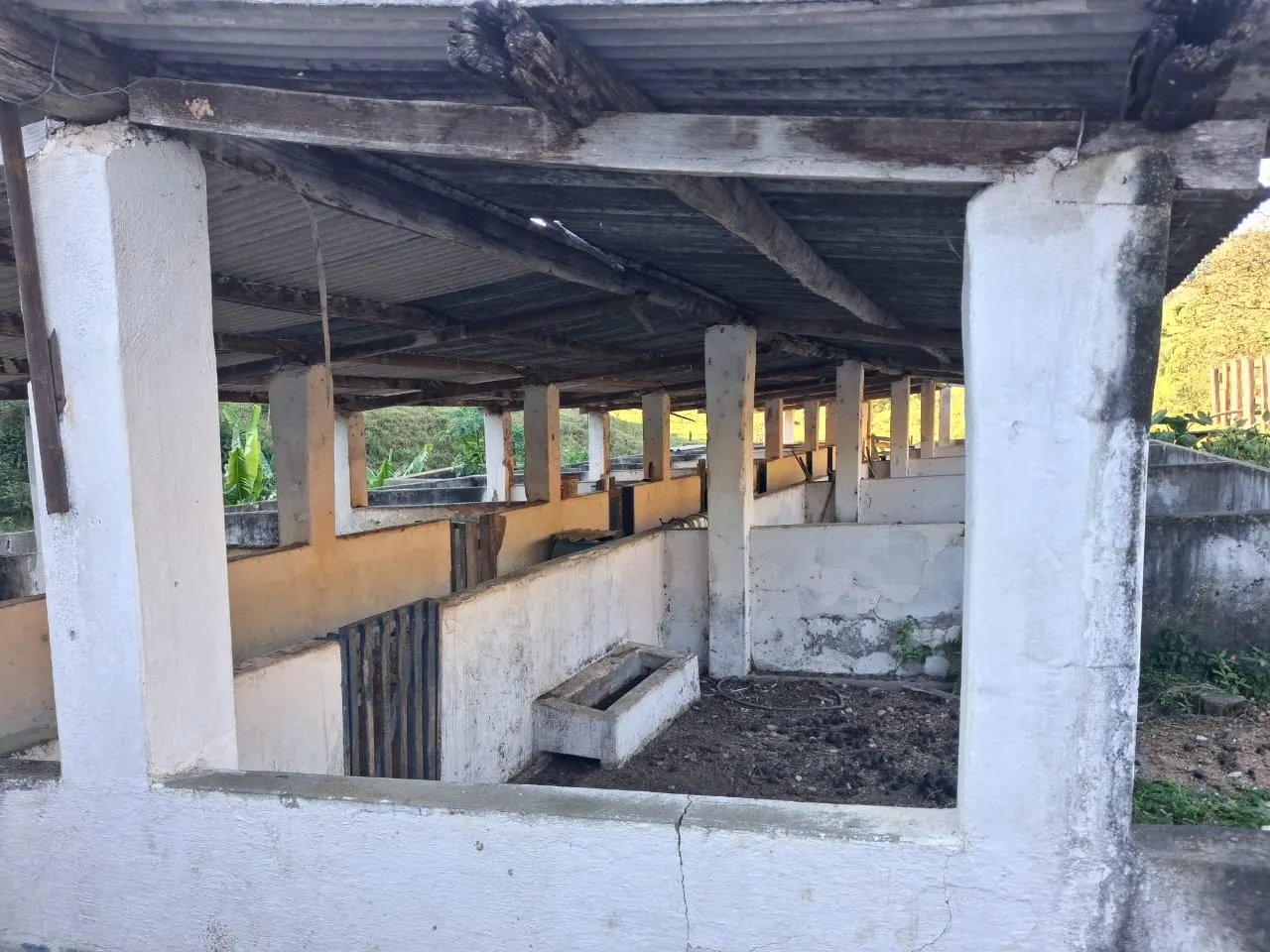 Fazenda à venda de 799 ha em São José do Barreiro, SP, Brasil
