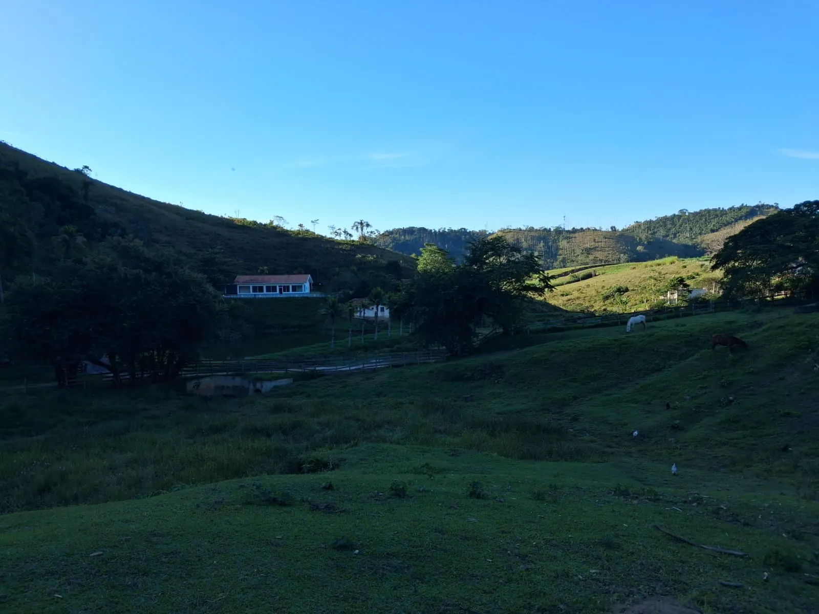 Fazenda à venda de 799 ha em São José do Barreiro, SP, Brasil