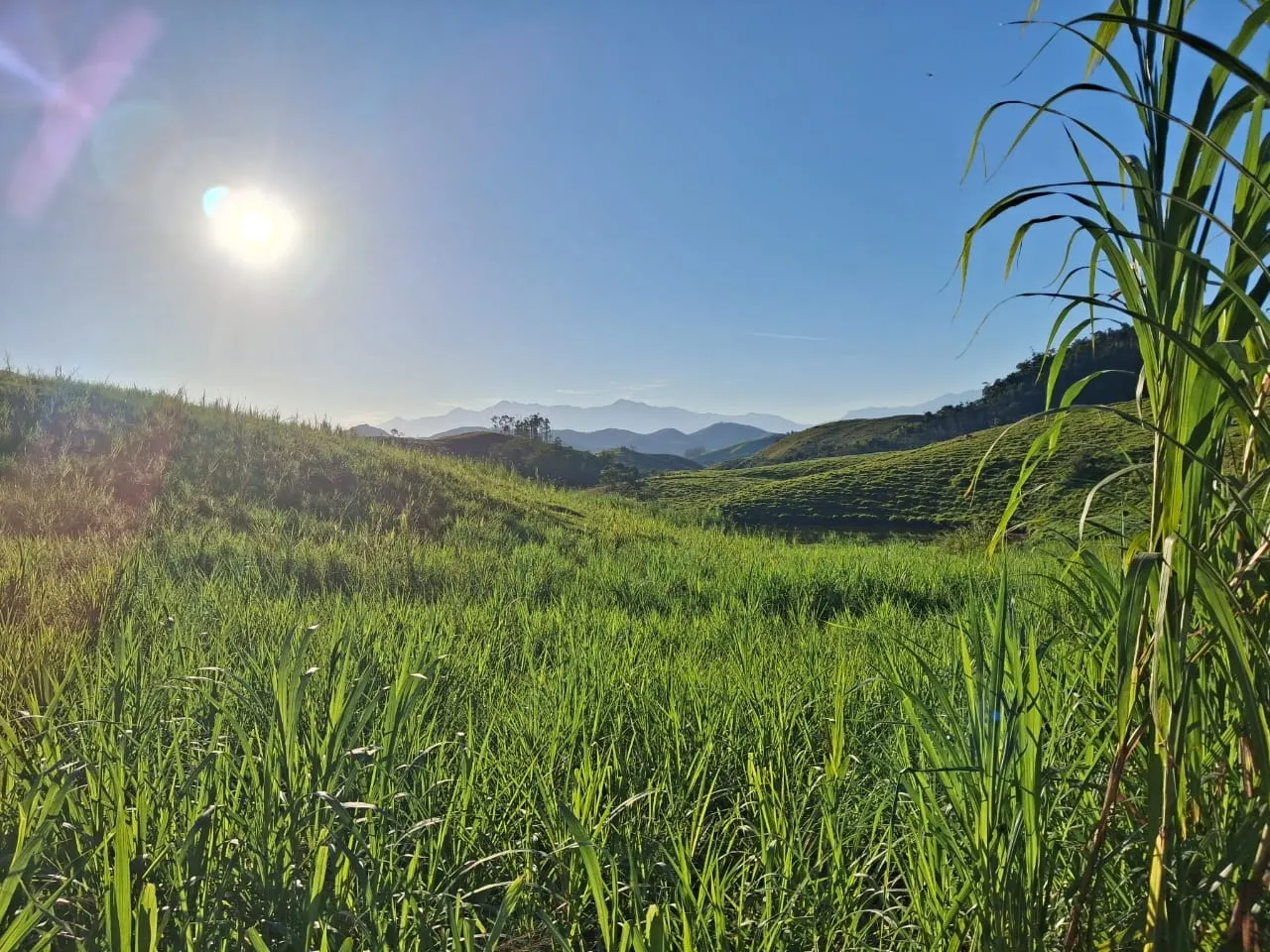 Fazenda à venda de 799 ha em São José do Barreiro, SP, Brasil