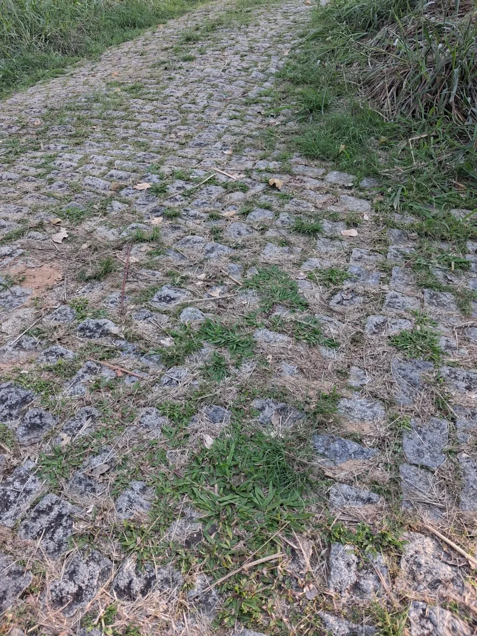 Fazenda à venda de 799 ha em São José do Barreiro, SP, Brasil