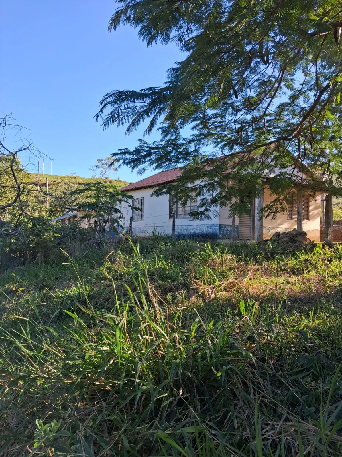 Fazenda à venda de 799 ha em São José do Barreiro, SP, Brasil
