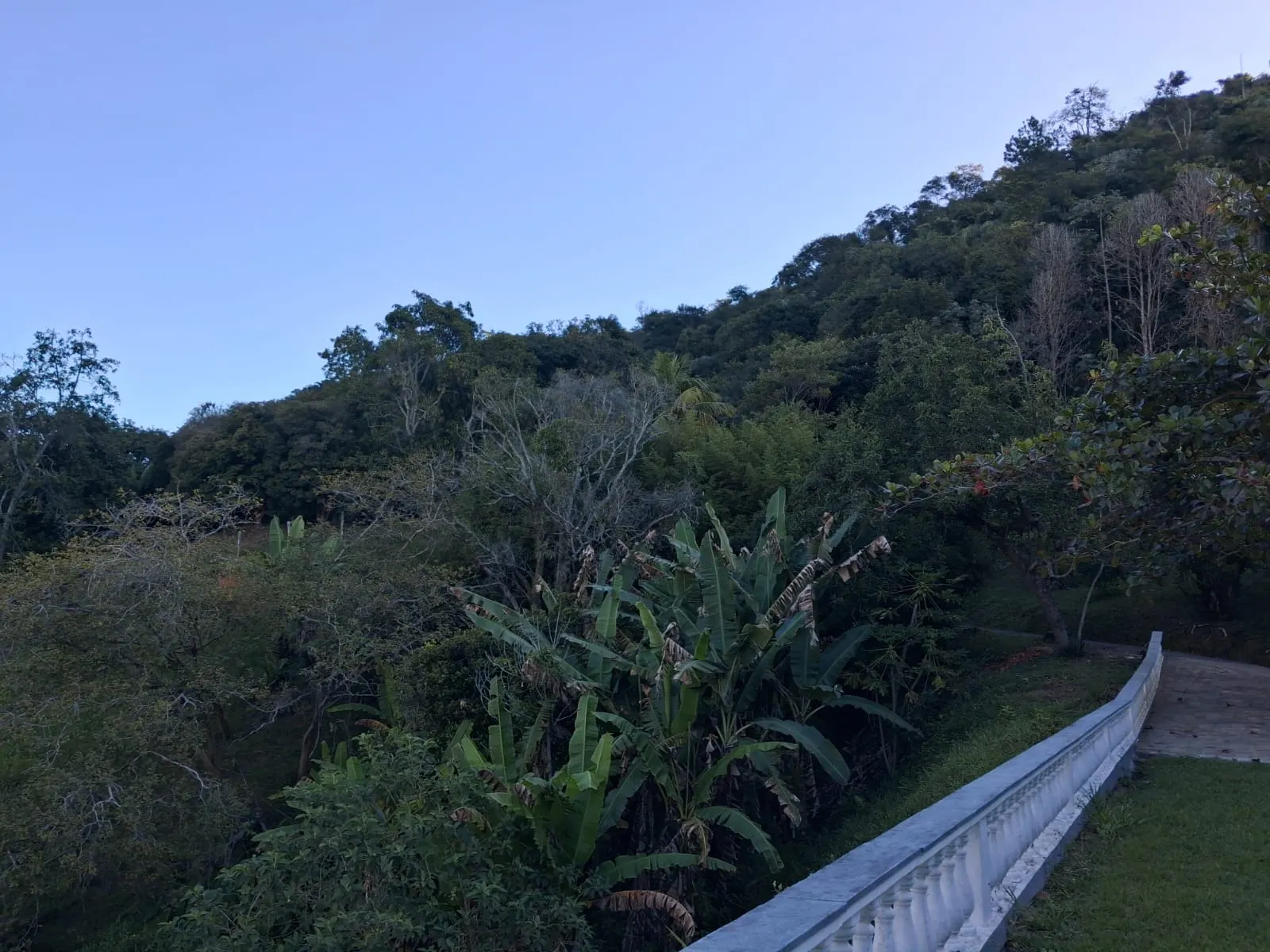 Fazenda à venda de 799 ha em São José do Barreiro, SP, Brasil