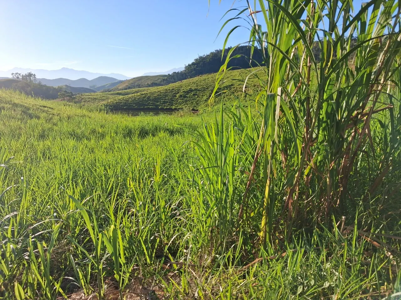 Fazenda à venda de 799 ha em São José do Barreiro, SP, Brasil