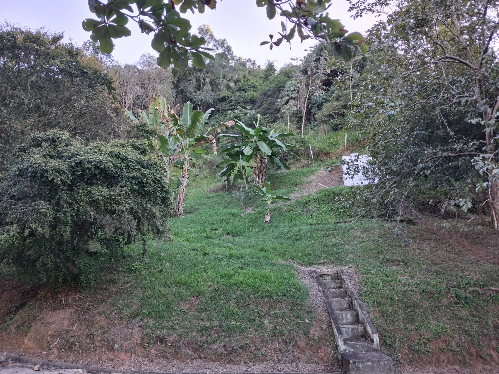 Fazenda à venda de 799 ha em São José do Barreiro, SP, Brasil