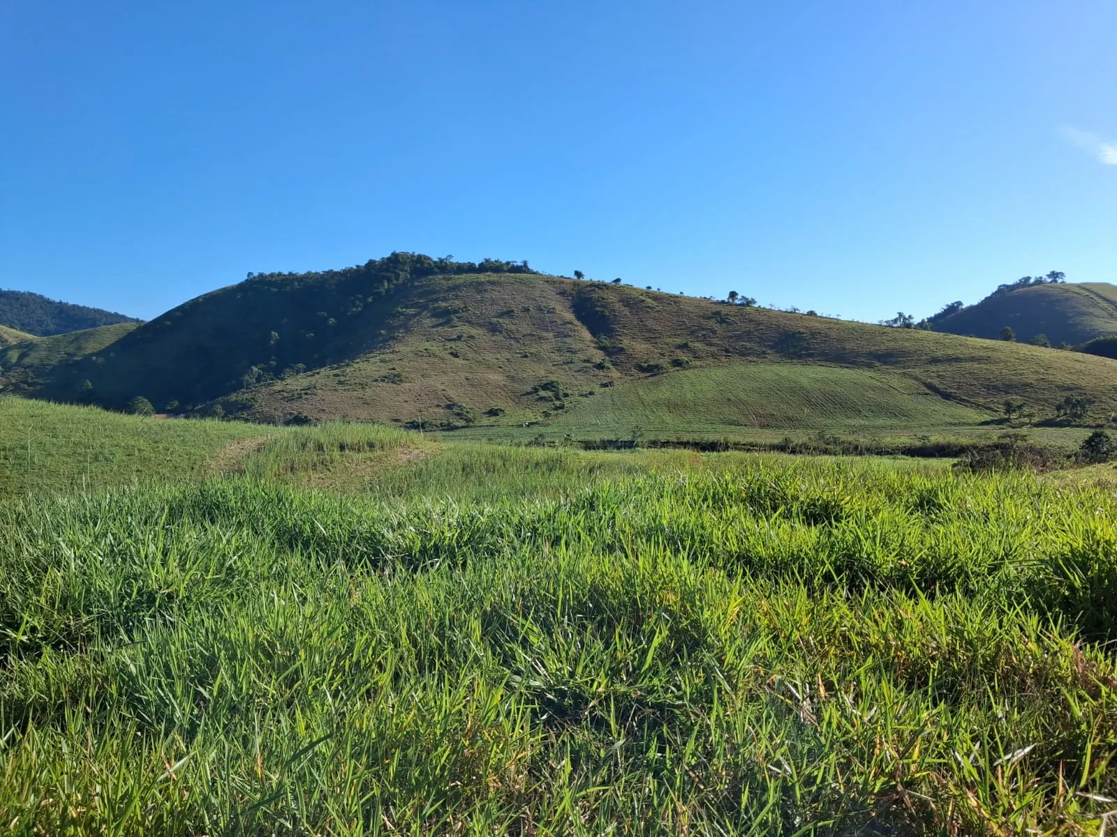 Fazenda à venda de 799 ha em São José do Barreiro, SP, Brasil