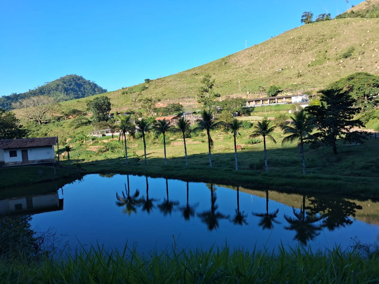 Fazenda à venda de 799 ha em São José do Barreiro, SP, Brasil