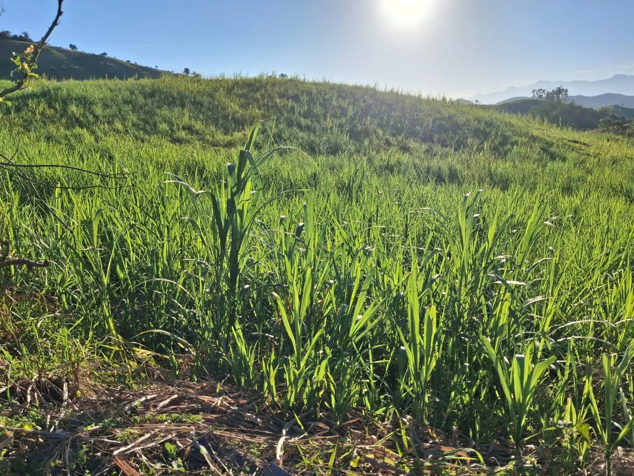 Fazenda à venda de 799 ha em São José do Barreiro, SP, Brasil
