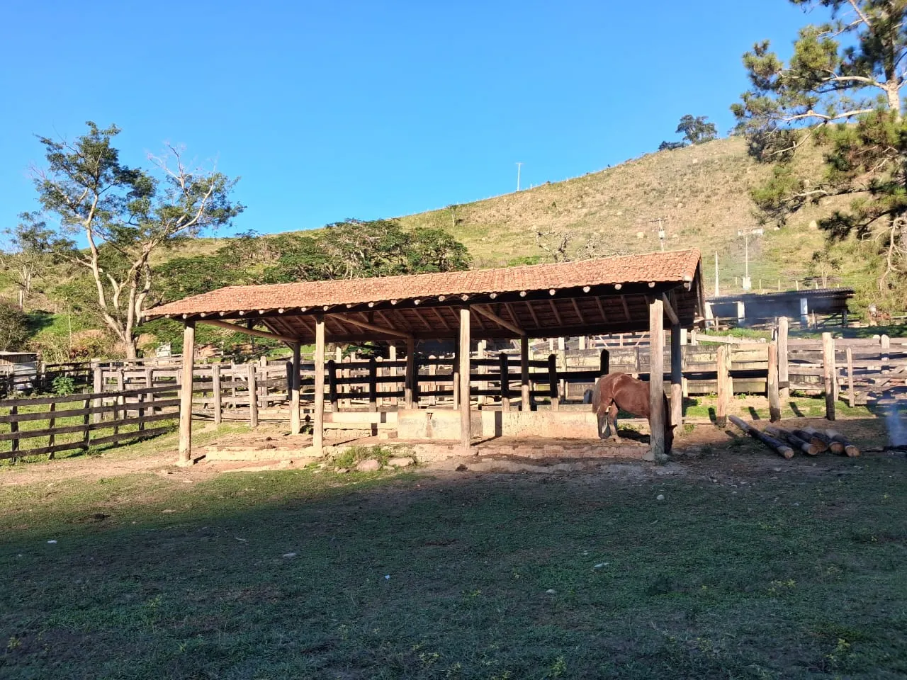 Fazenda à venda de 799 ha em São José do Barreiro, SP, Brasil