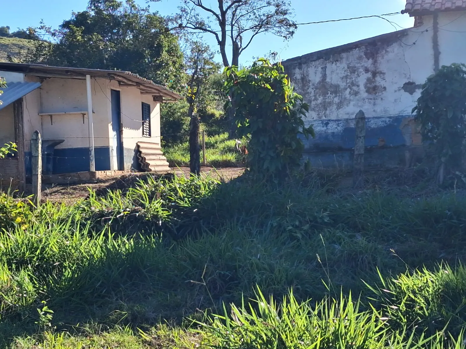 Fazenda à venda de 799 ha em São José do Barreiro, SP, Brasil
