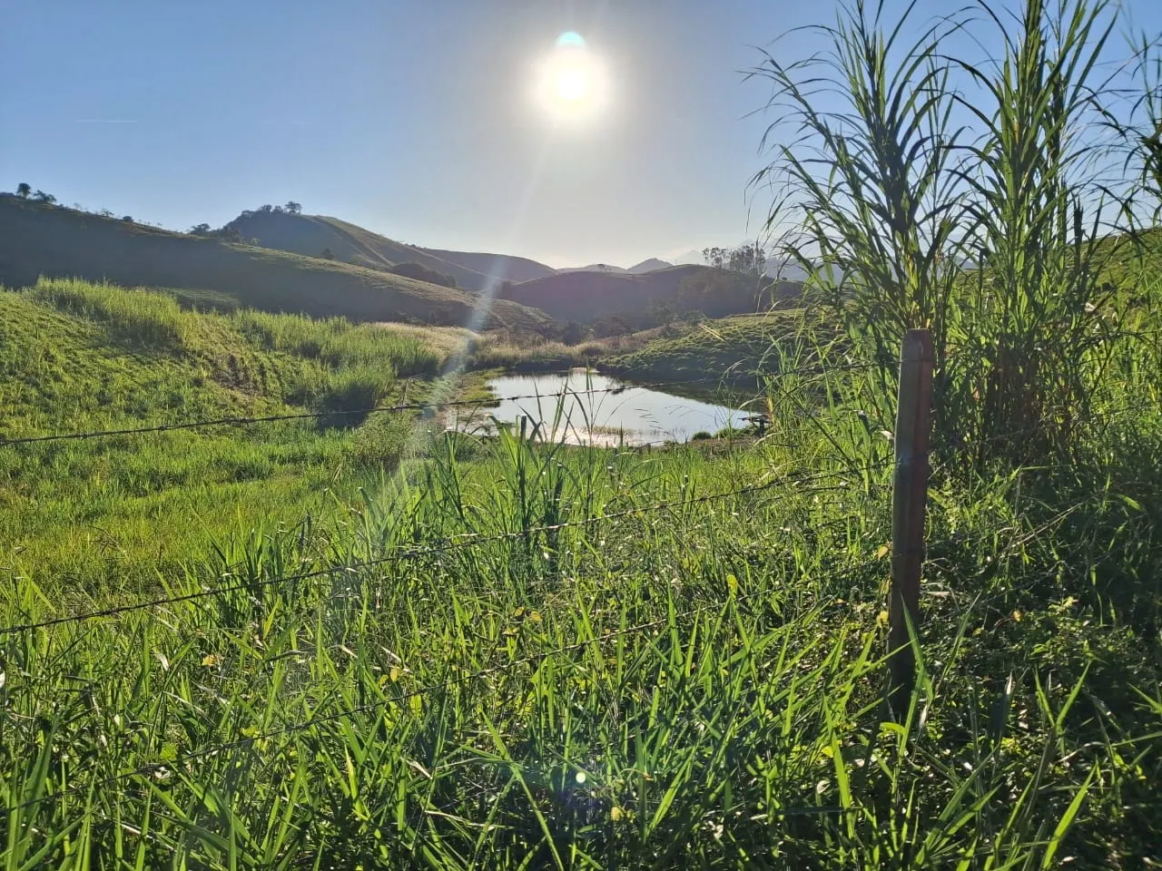 Fazenda à venda de 799 ha em São José do Barreiro, SP, Brasil