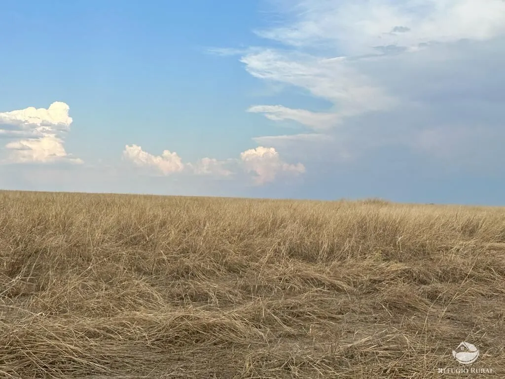 Fazenda à venda de 11.000 ha em Paranatinga, MT, Brasil