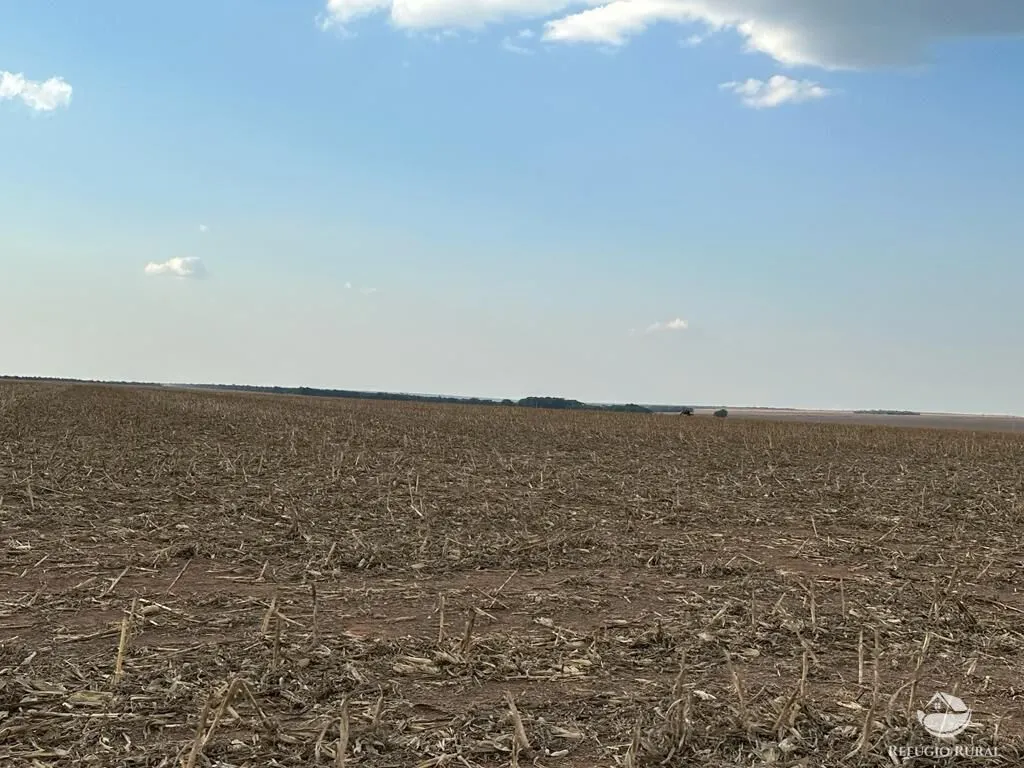 Fazenda à venda de 11.000 ha em Paranatinga, MT, Brasil